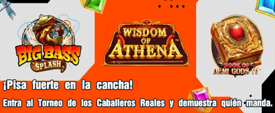 Bison Casino: Tu suerte aquí banner image
