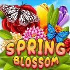 Spring Blossom thumbnail