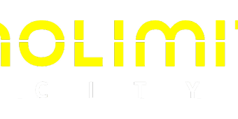 Plin partner logo